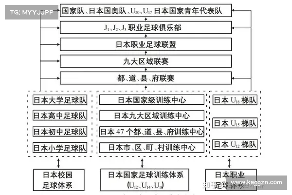 日本青训篮球体系的崛起与快速进步的背后秘诀揭秘 日本青训篮球体系的崛起与快速进步的背后秘诀揭秘
