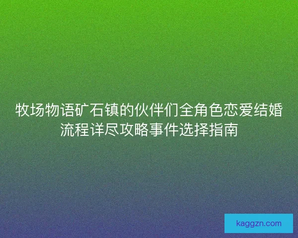 牧场物语矿石镇的伙伴们全角色恋爱结婚流程详尽攻略事件选择指南